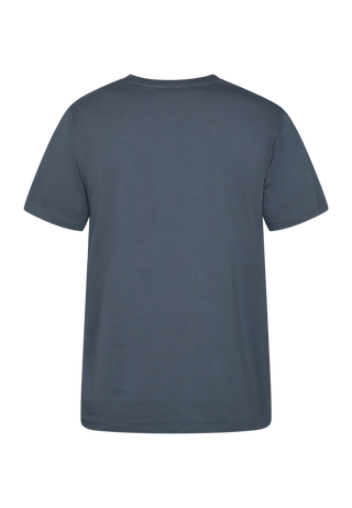 REDGREEN CHRIS T-SHIRT SS T-shirt 0181 Antrachite