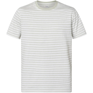 REDGREEN COLT T-SHIRT SS T-shirt 0701 Green Pastel 16-0110 TCX