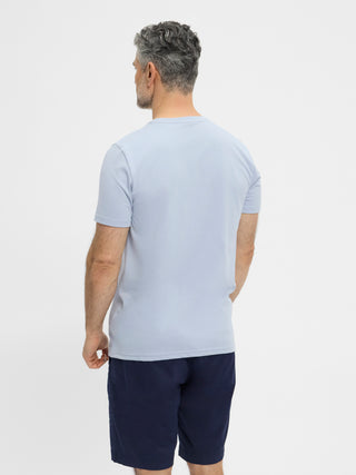 REDGREEN Carius T-shirt 4613 Light Blue Melange